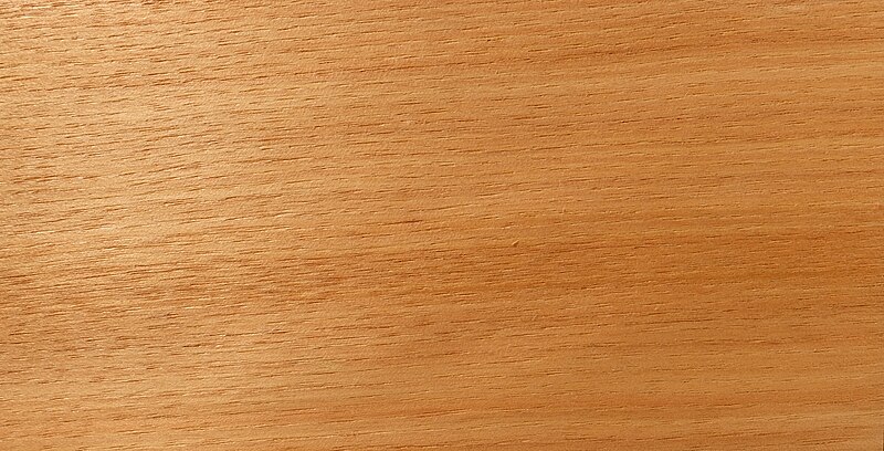 File:Hickory Holz.JPG